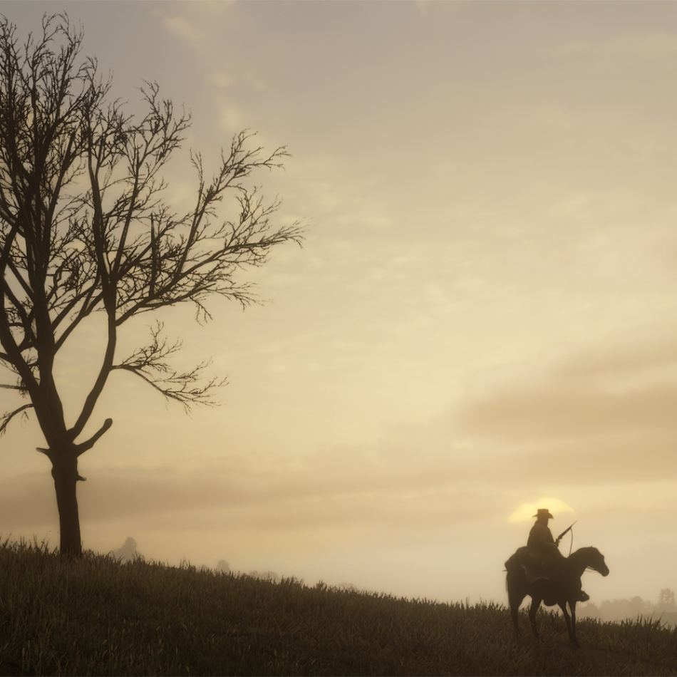 Red Dead Redemption 2: Edição Definitiva - Xbox One e Series